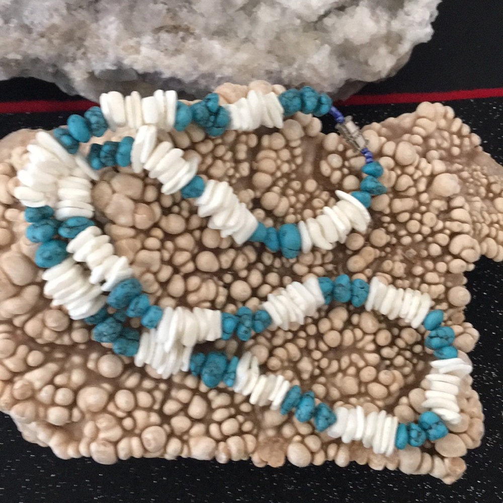 Puka shells